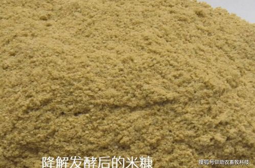 各種農副産(chǎn)品與食品下腳料是降低養殖飼料成本的有(yǒu)效途徑,可(kě)以這樣操作(zuò)